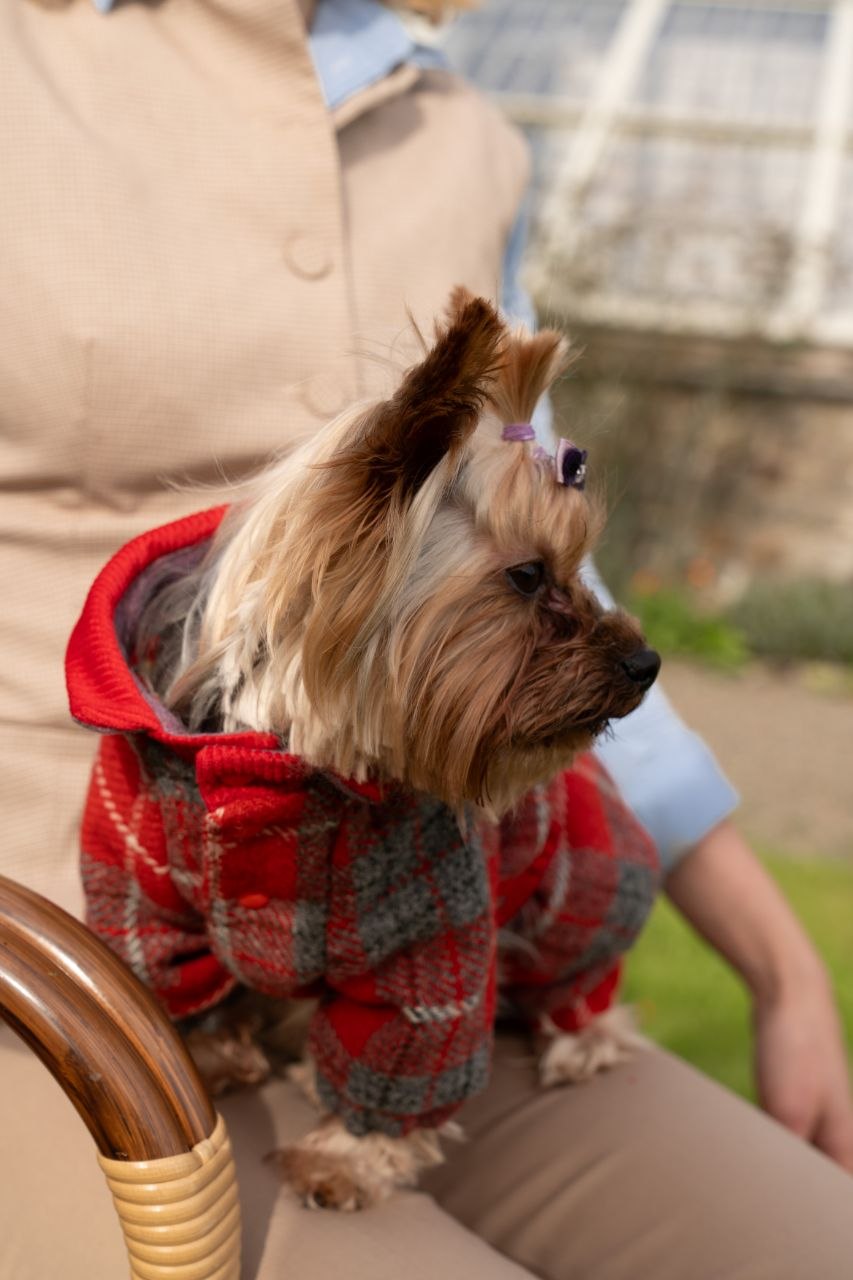 The Silk-Lined Parka - View 1
